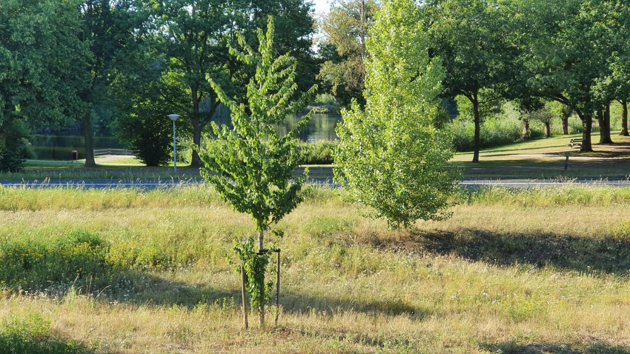 Logies Bij Wandelpad Te Holten Ngoại thất bức ảnh